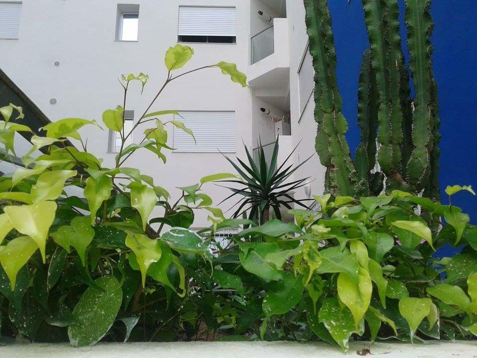 Le Lagon De Hammamet Zimmer foto